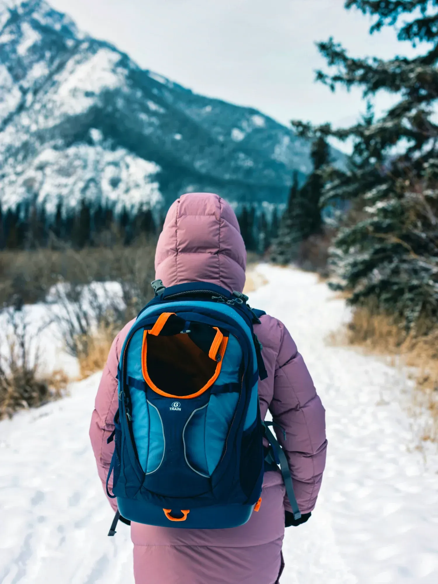 Understanding Compartments and Opening Styles post image